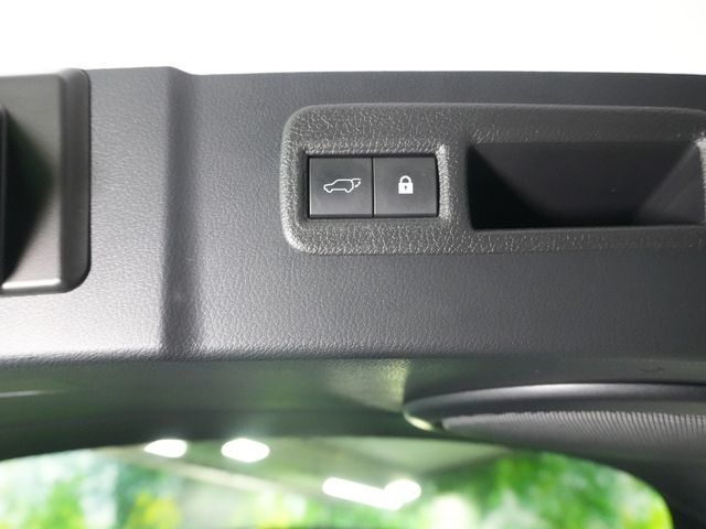 LEXUS NX300h