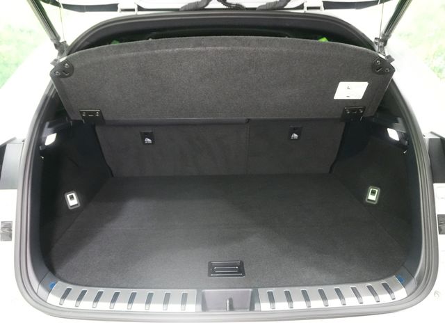 LEXUS NX300h