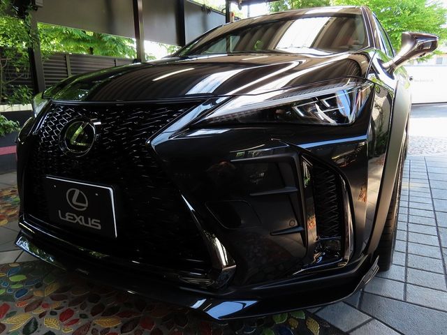 LEXUS UX300h