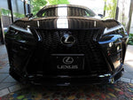 LEXUS UX300h