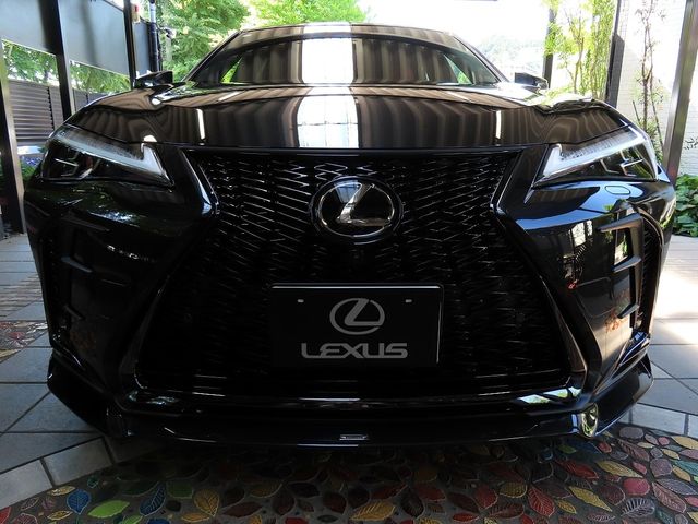 LEXUS UX300h
