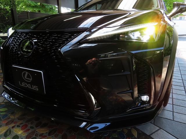 LEXUS UX300h