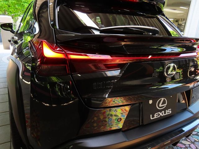 LEXUS UX300h