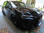 LEXUS UX300h