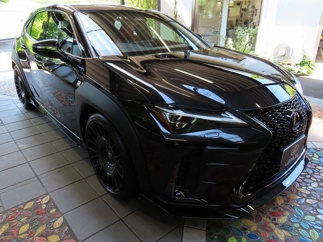 LEXUS UX300h