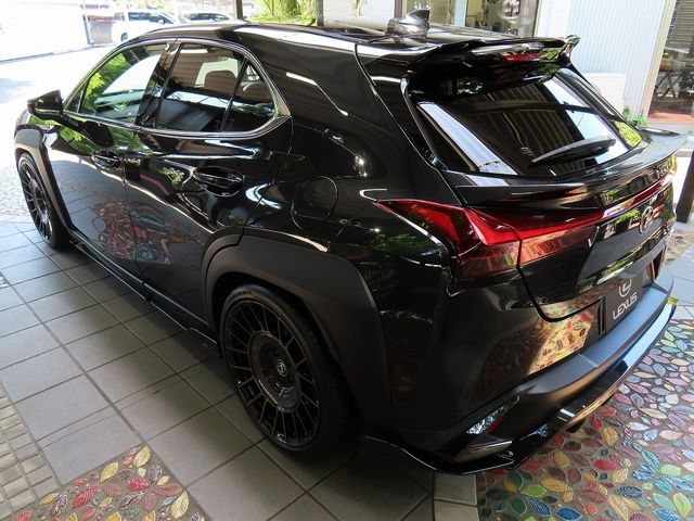 LEXUS UX300h