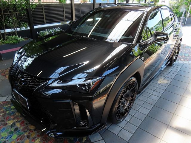 LEXUS UX300h