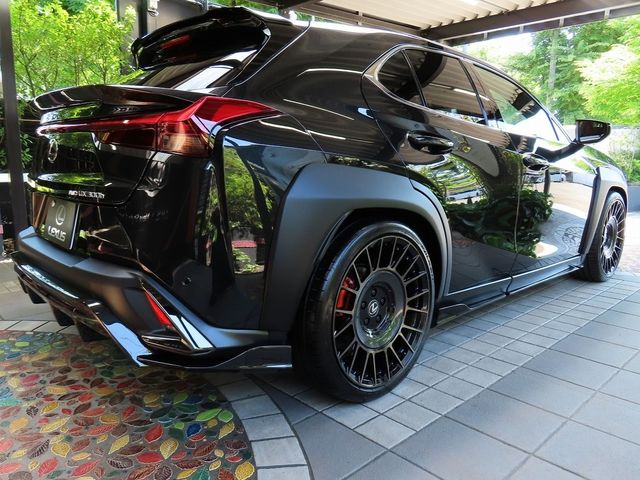 LEXUS UX300h