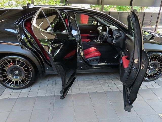 LEXUS UX300h