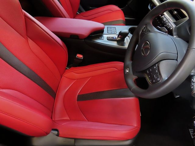 LEXUS UX300h