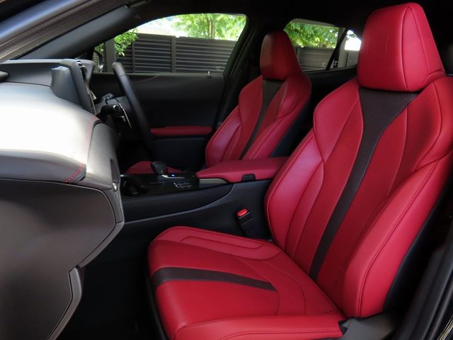 LEXUS UX300h