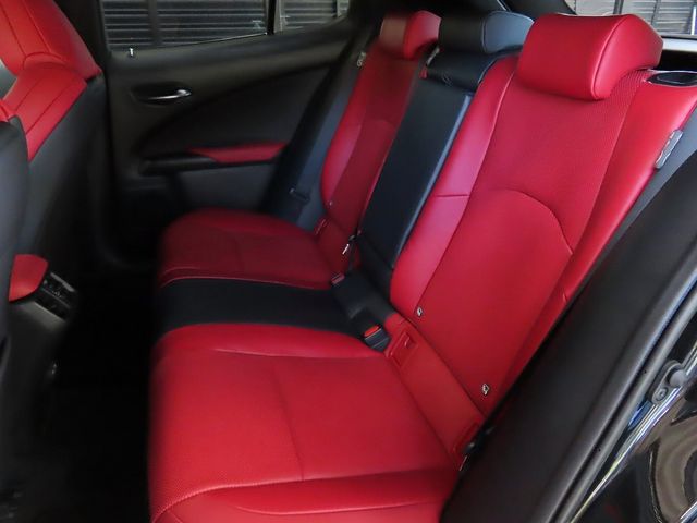 LEXUS UX300h