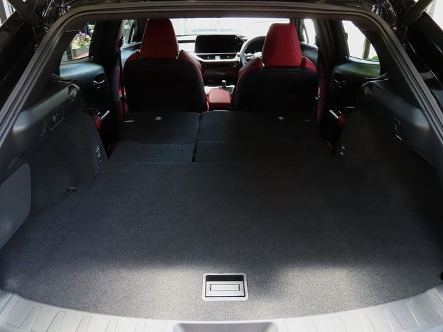 LEXUS UX300h