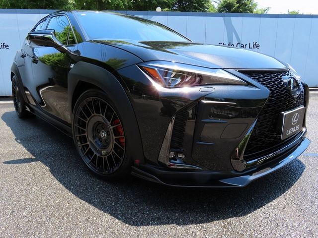 LEXUS UX300h