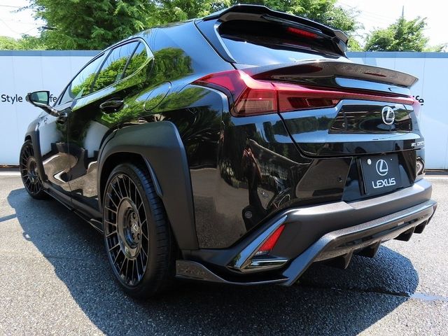 LEXUS UX300h