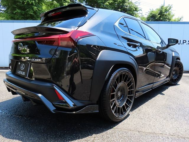LEXUS UX300h