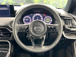 CX-80