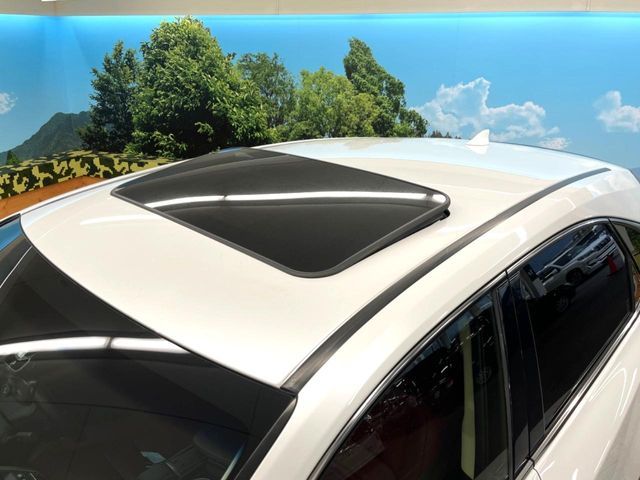 LEXUS NX300h