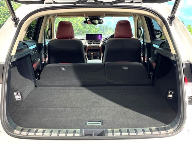 LEXUS NX300h