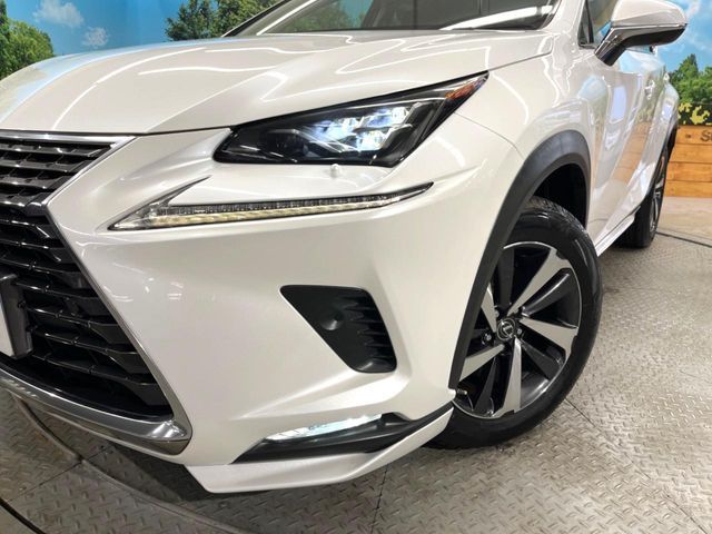 LEXUS NX300h