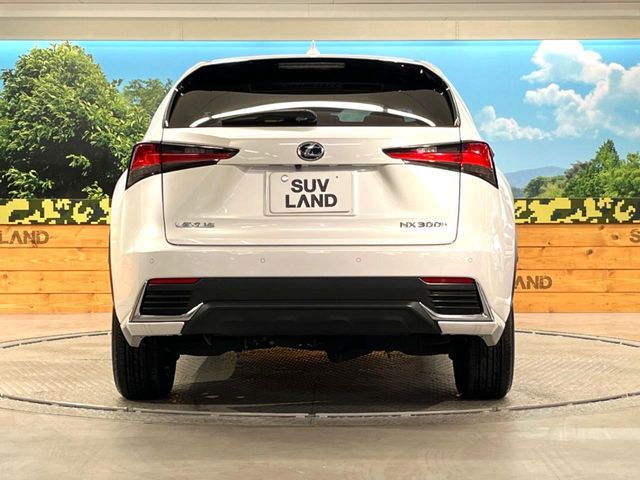 LEXUS NX300h