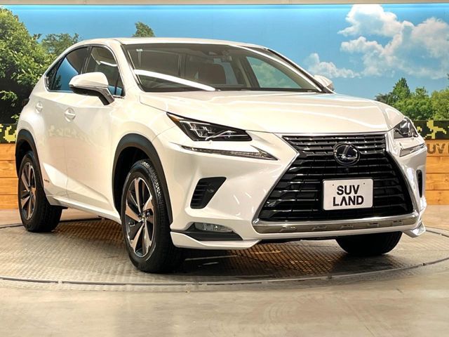 LEXUS NX300h