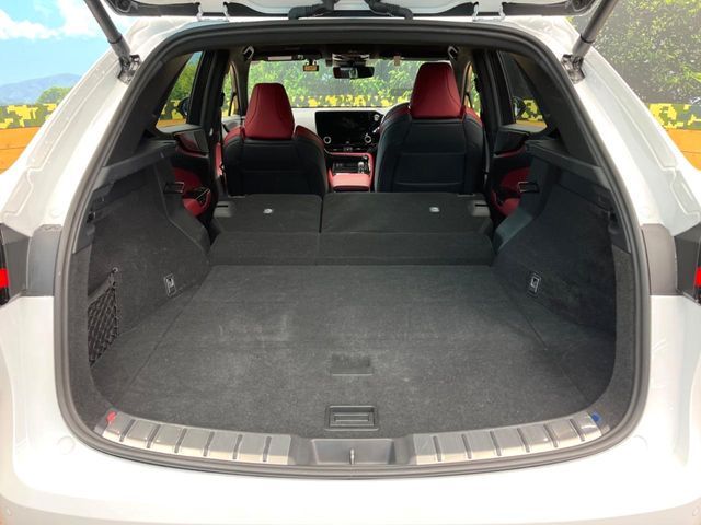 LEXUS NX350h