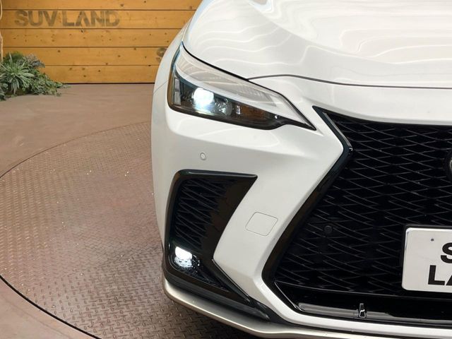 LEXUS NX350h