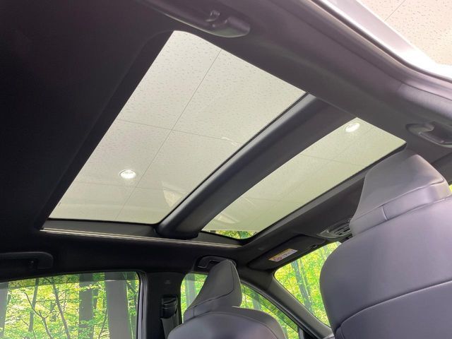 CROWN SPORT