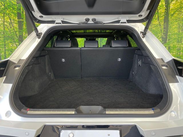 CROWN SPORT