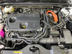 CROWN SPORT