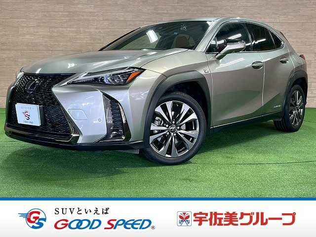 LEXUS UX250h