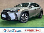 LEXUS UX250h