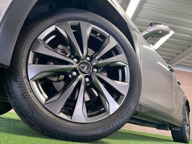 LEXUS UX250h