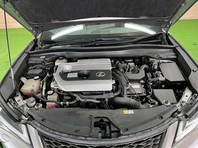 LEXUS UX250h