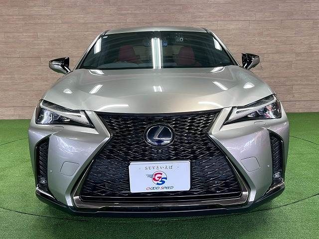 LEXUS UX250h