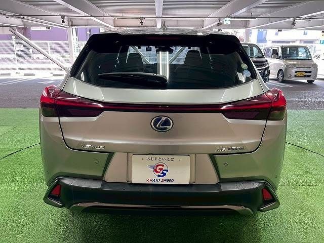 LEXUS UX250h