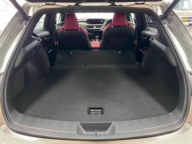 LEXUS UX250h