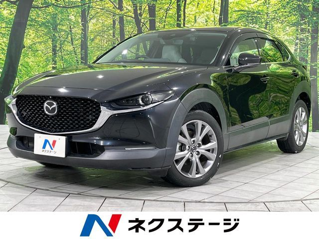 CX-30
