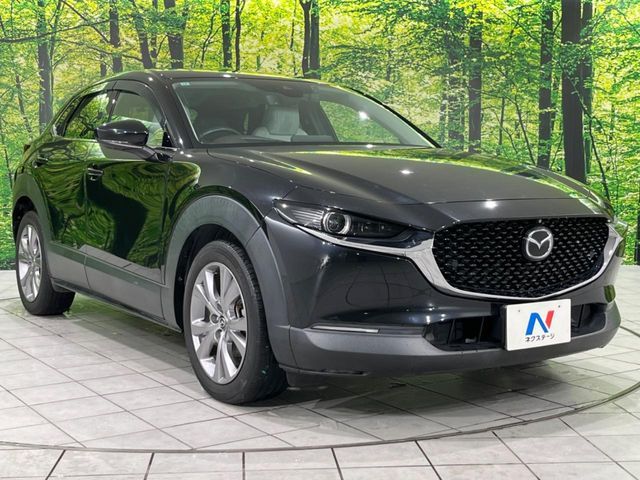 CX-30