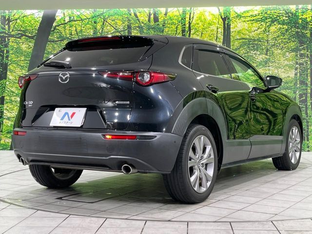 CX-30
