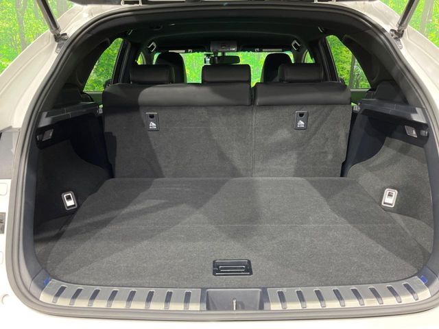 LEXUS NX300h AWD