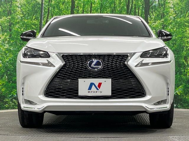 LEXUS NX300h AWD