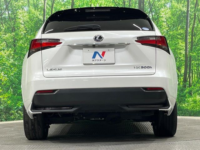 LEXUS NX300h AWD