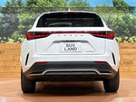LEXUS NX350h