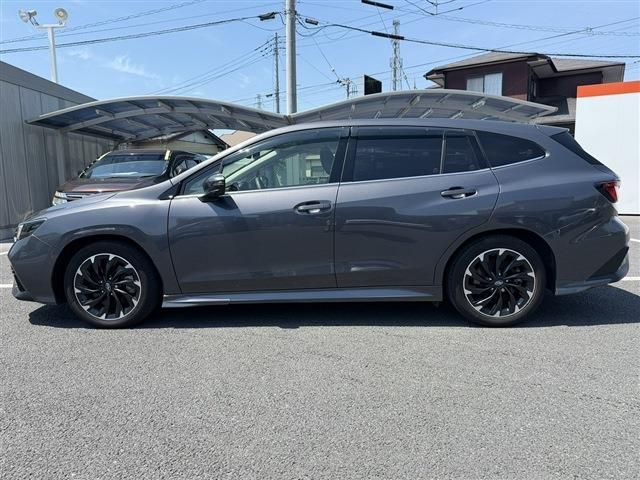 LEVORG