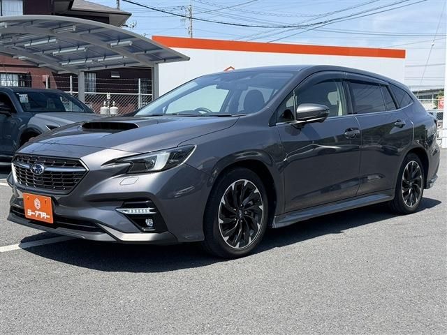 LEVORG