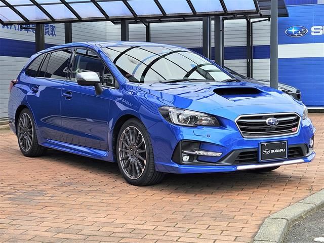 LEVORG