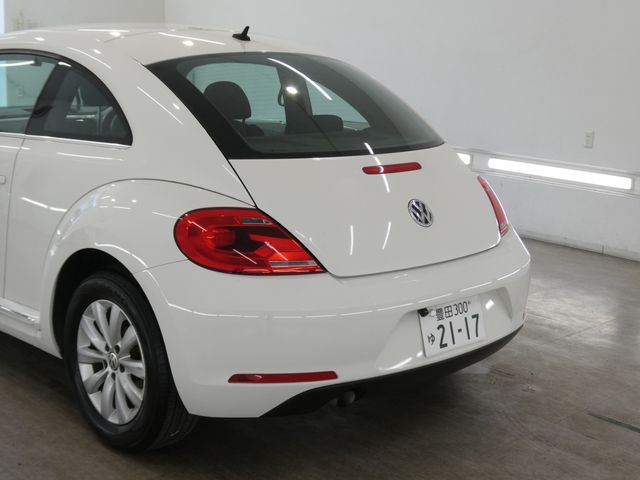VOLKSWAGEN The BEETLE