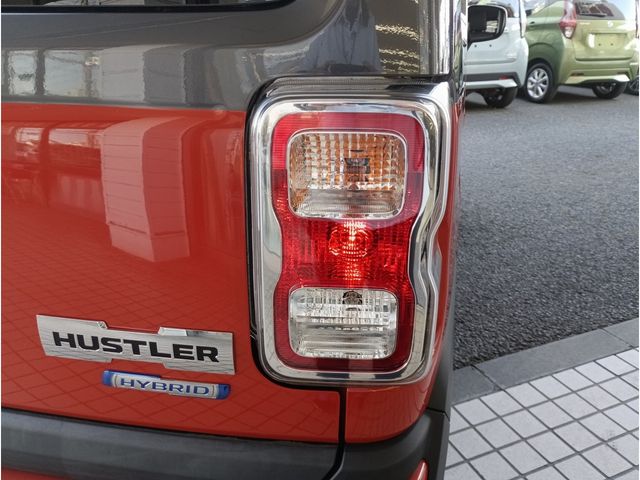 HUSTLER